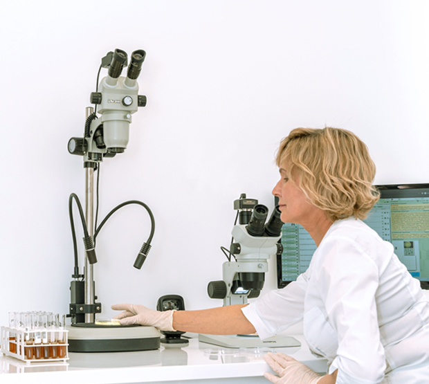 Фотографии