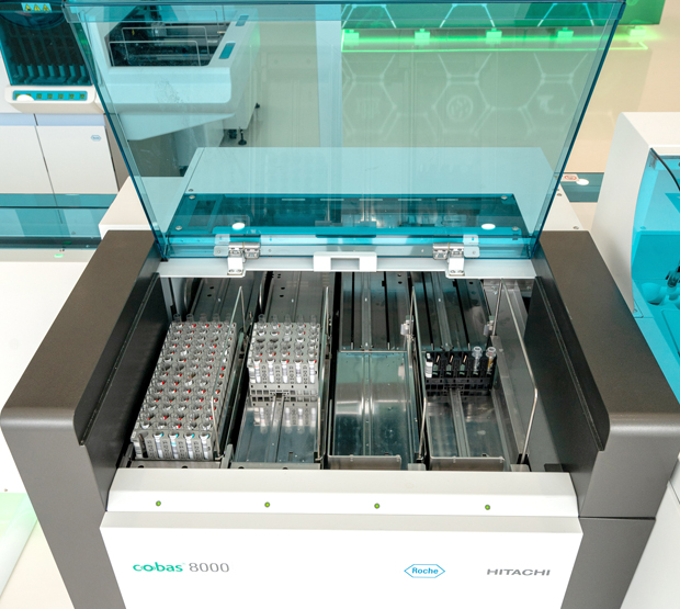 Фотографии